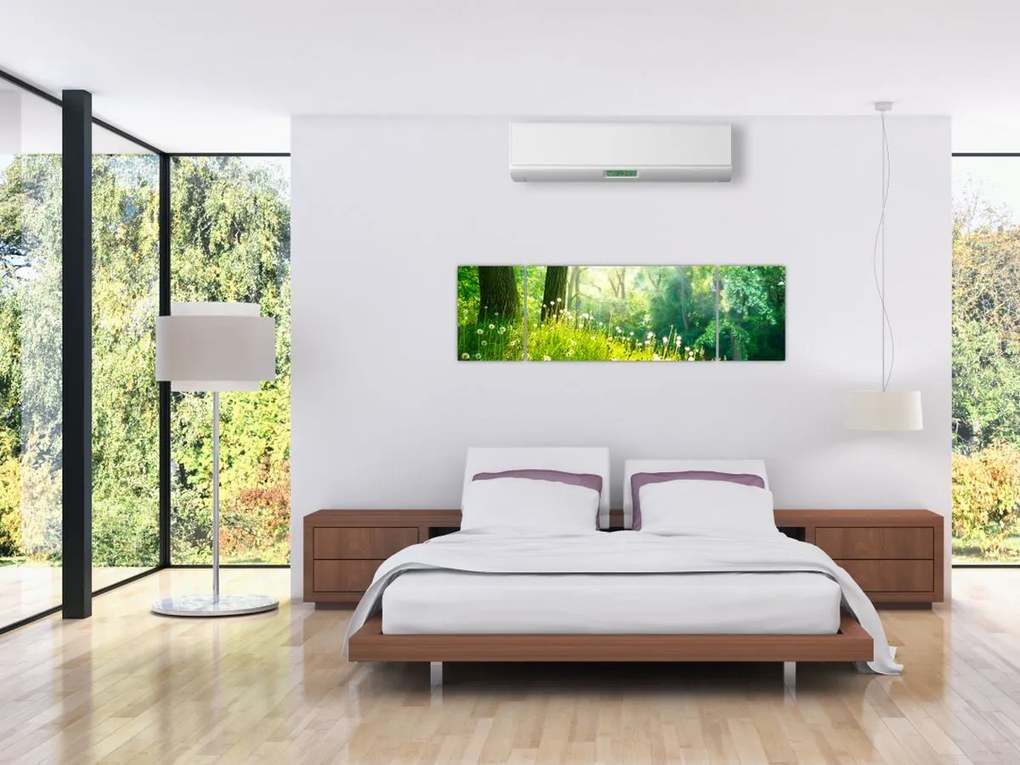 Obraz - Magiczna łąka pełna mniszków lekarskich (170x50 cm)