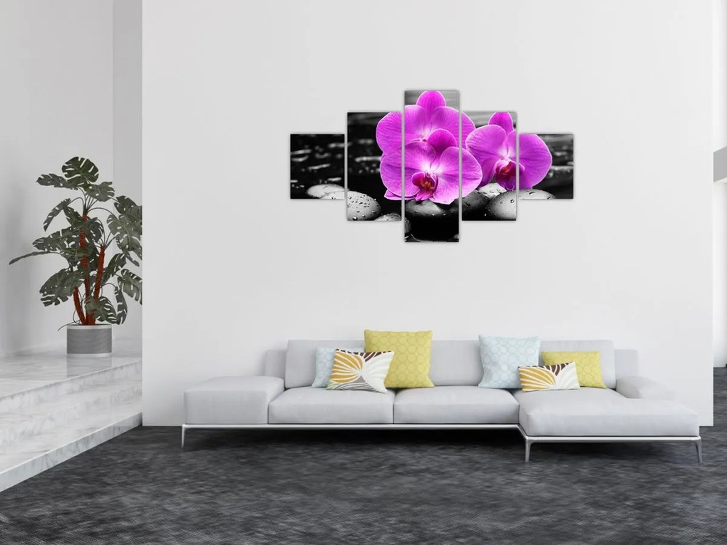Obraz - Fioletowe orchidee (125x70 cm)
