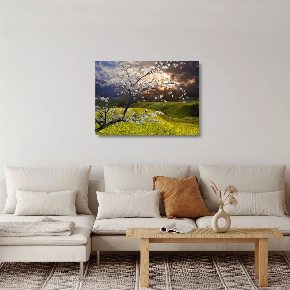 Obraz na szkle - Kwitnące drzewo w krajobrazie (70x50 cm)