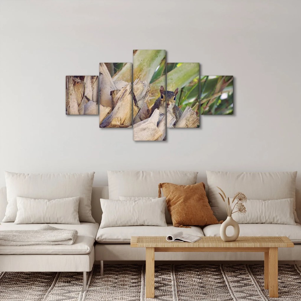 Obraz wiewiórki na drzewie (125x70 cm)