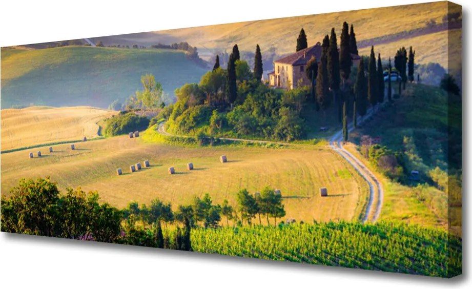 Obraz drukowany na płótnie Malowniczy Pejzaż z Drzewami