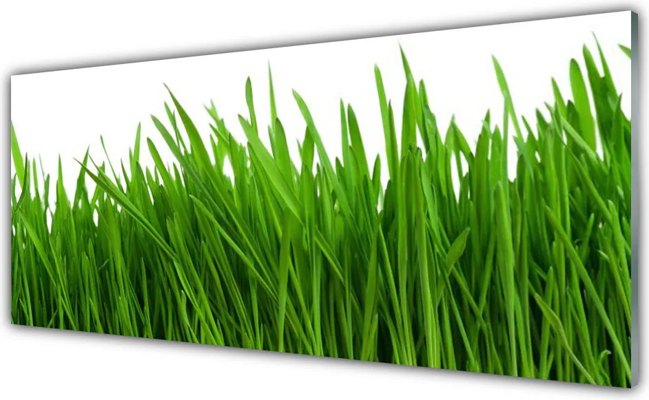 Panel Kuchenny Poranna Rosa na Trawie