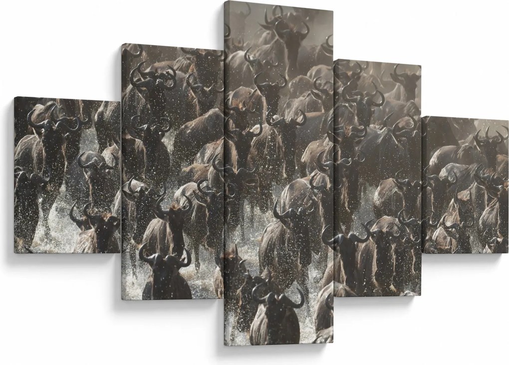 Obraz - Stado antylop gnu (125x70 cm)