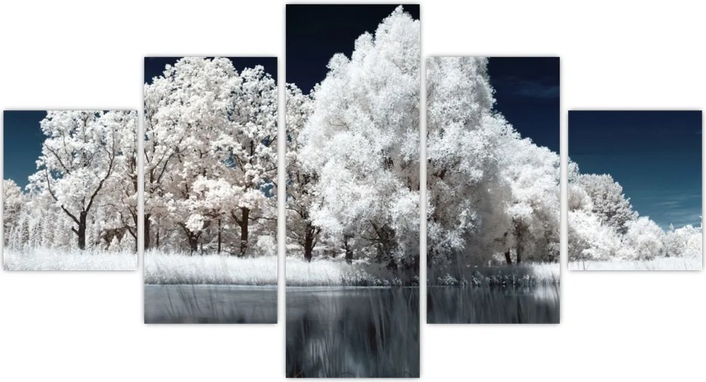Obraz - Śnieżnobiałe drzewa (125x70 cm)