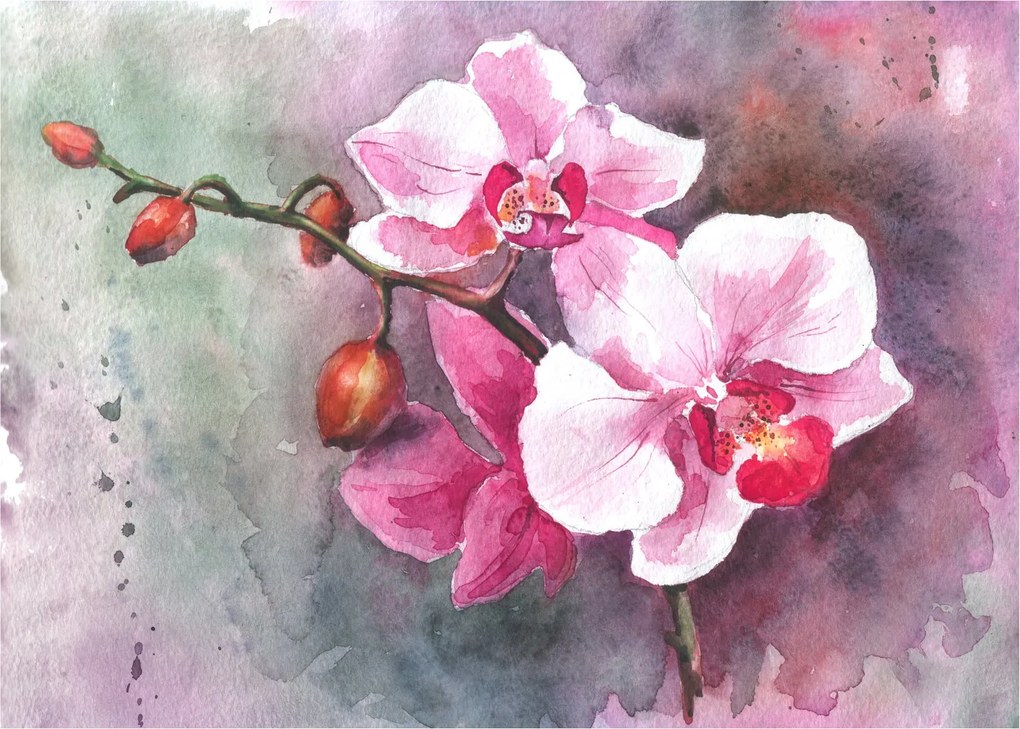 Obraz na szkle - Orchidee, akwarela (70x50 cm)