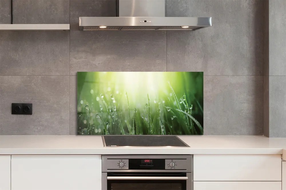 Szklany Panel Trawa w Promieniach Słońca