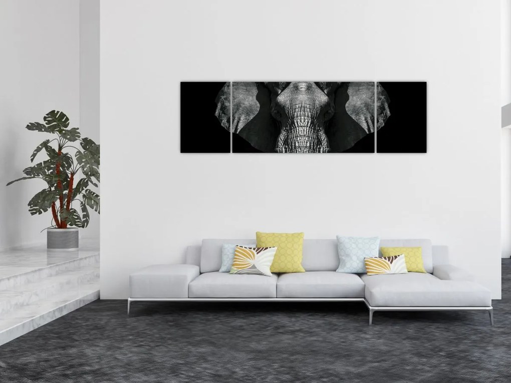 Obraz - Słoń na czarnym tle (170x50 cm)