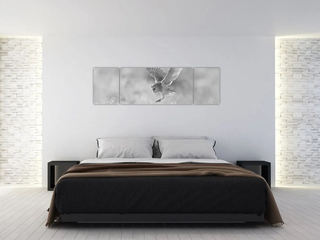 Obraz - Sowa, czarno - biały (170x50 cm)