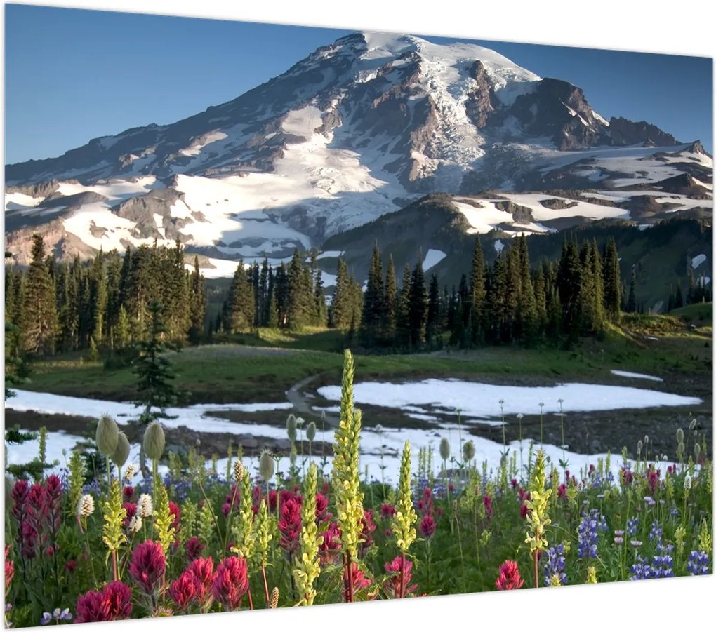 Obraz - Mount Rainier (70x50 cm)