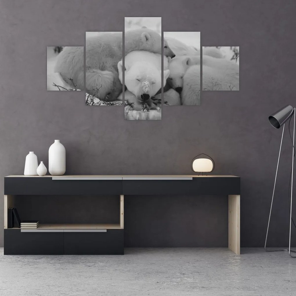 Obraz - Niedźwiadki polarne, czarno - biały (125x70 cm)