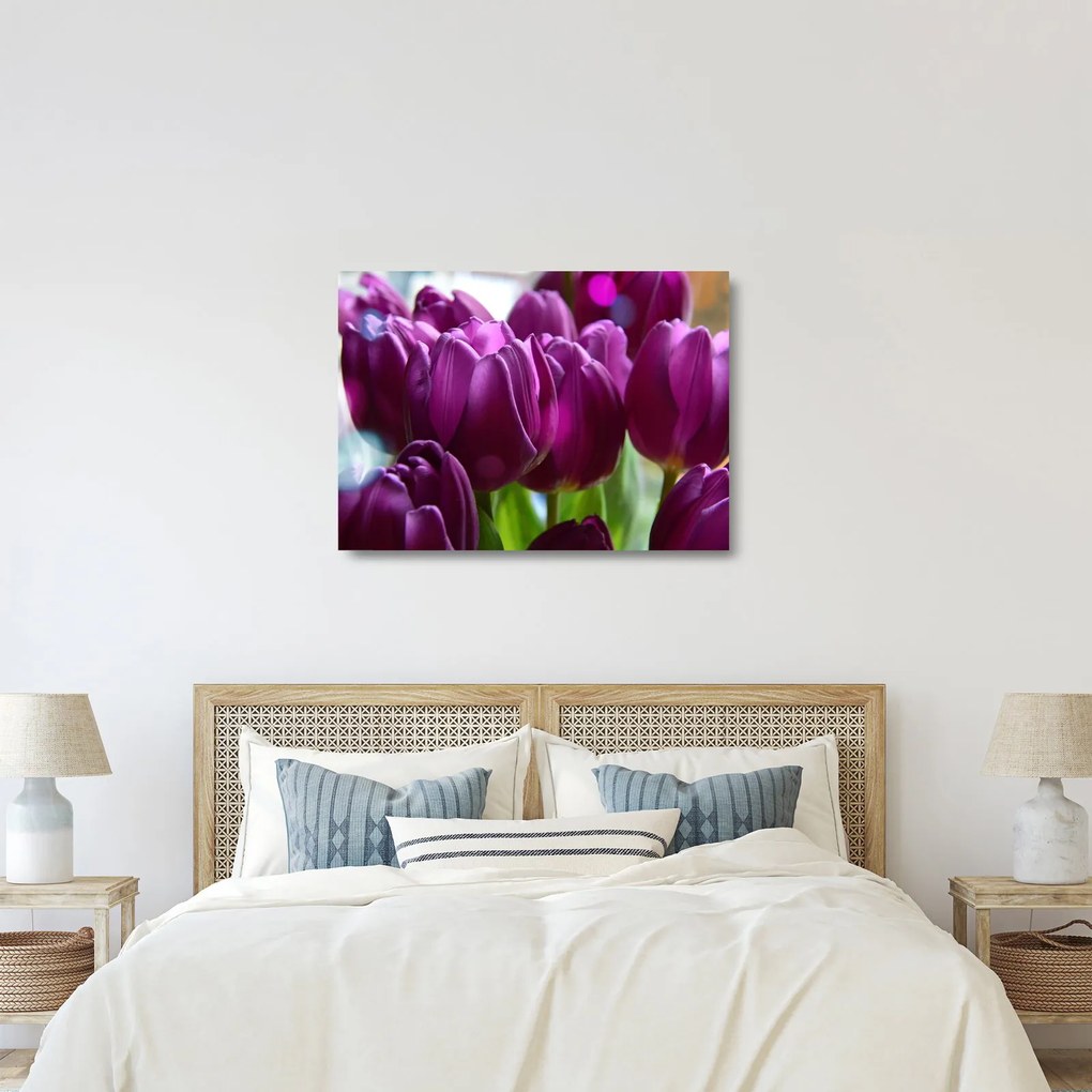 Obraz na szkle - tulipanów (70x50 cm)