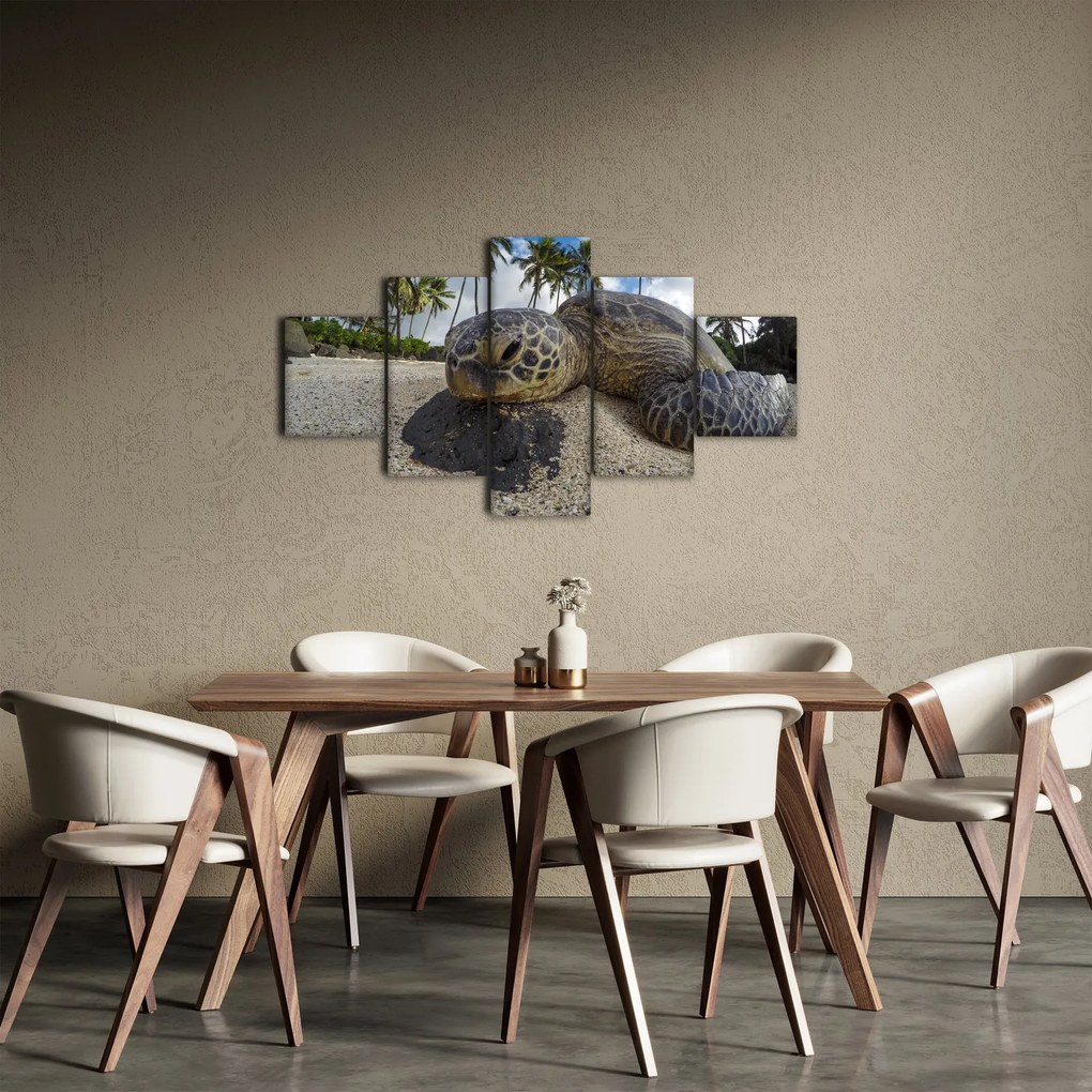 Obraz żółwia (125x70 cm)