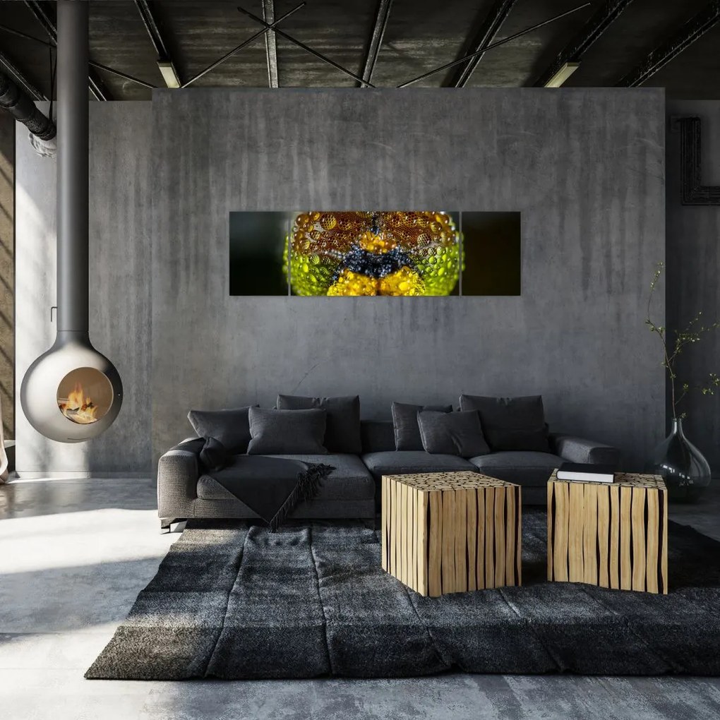 Szczegółowy obraz oczu owadów (170x50 cm)