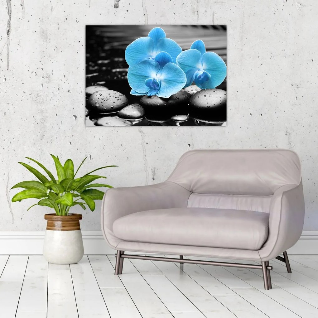 Obraz - Niebieska Orchidea (70x50 cm)