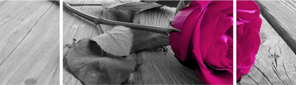 Obraz - Różowa róża (170x50 cm)