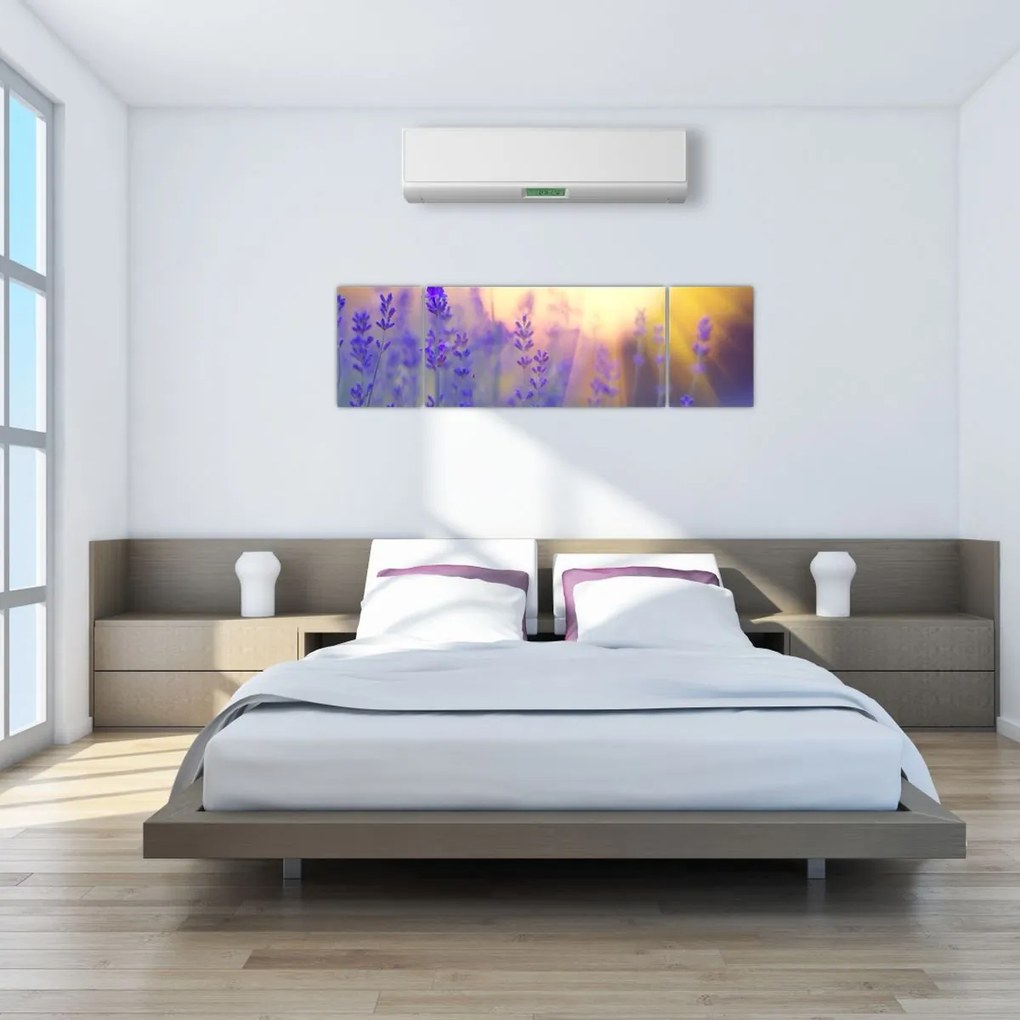 Obraz - Lawenda (170x50 cm)