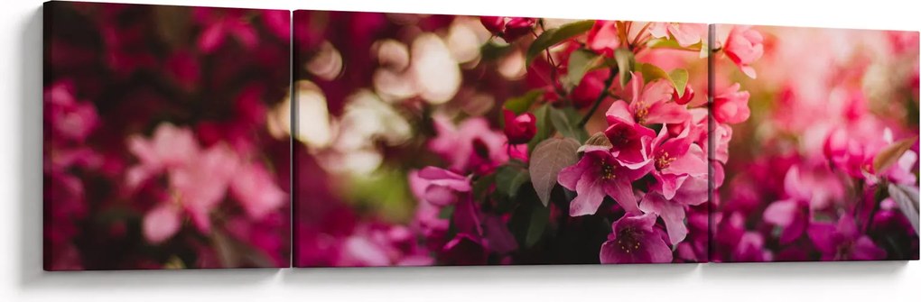 Obraz kwiatów malwy (170x50 cm)