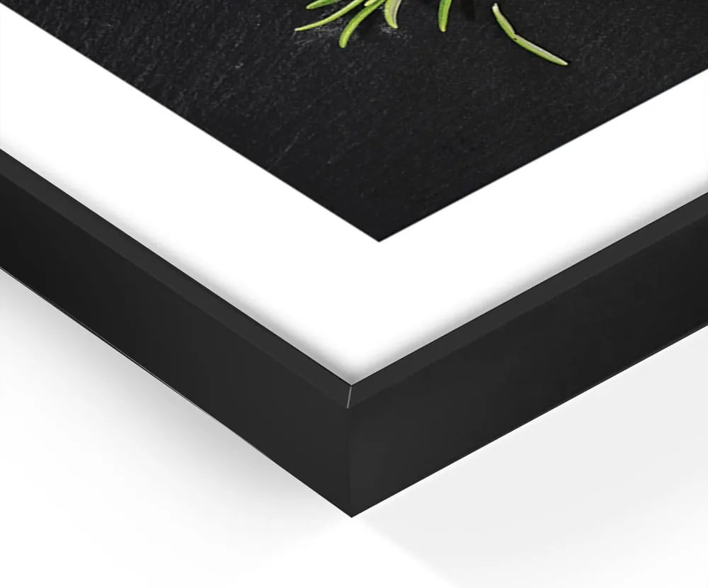 Obraz 50x70 cm Rosemary – Styler