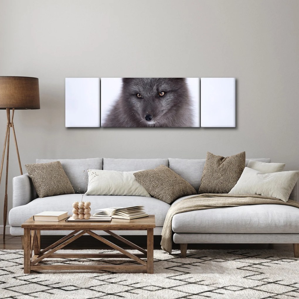 Obraz lisa śnieżnego (170x50 cm)