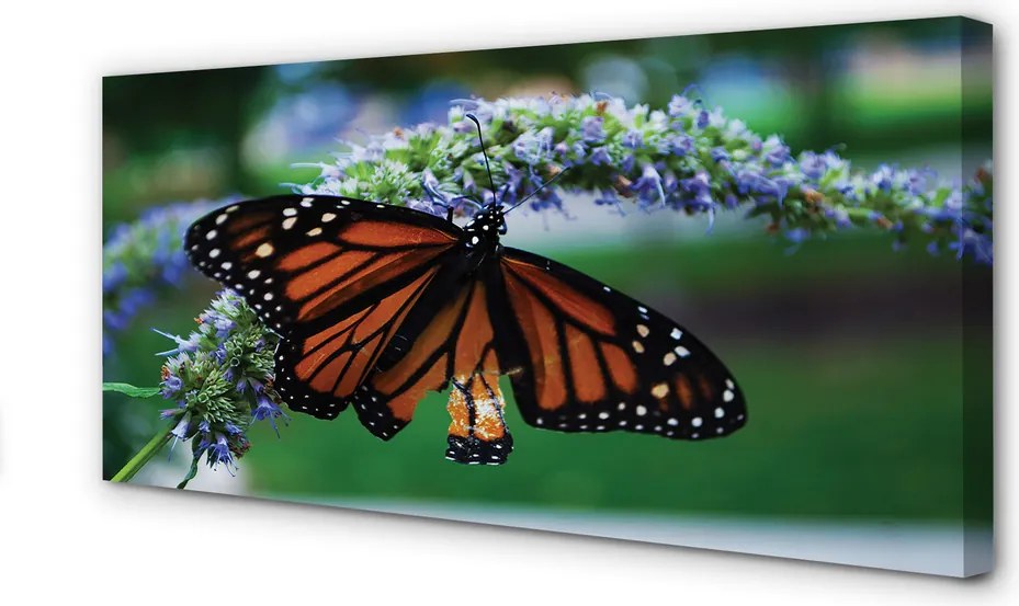 Obraz na płótnie Motyl na Kwiatuszku