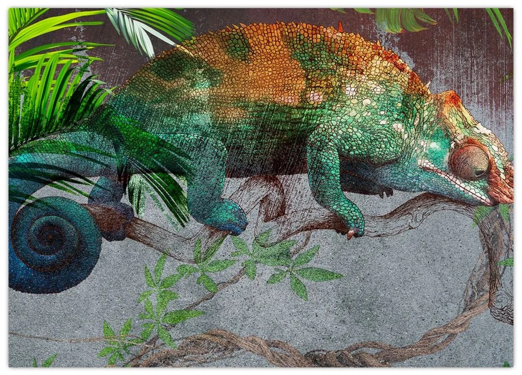 Obraz - Kameleon (70x50 cm)