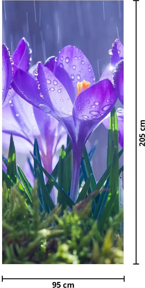 Fototapeta na drzwi - Kwiaty w deszczu (95x205cm)