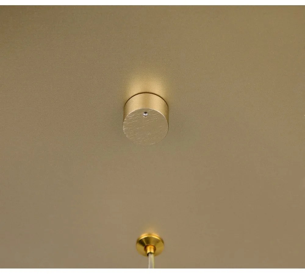 Lampa wisząca LED w kolorze złota Cala – Trio Select