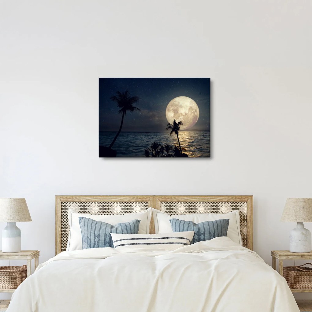 Obraz - Plaża przy pełni księżyca (70x50 cm)