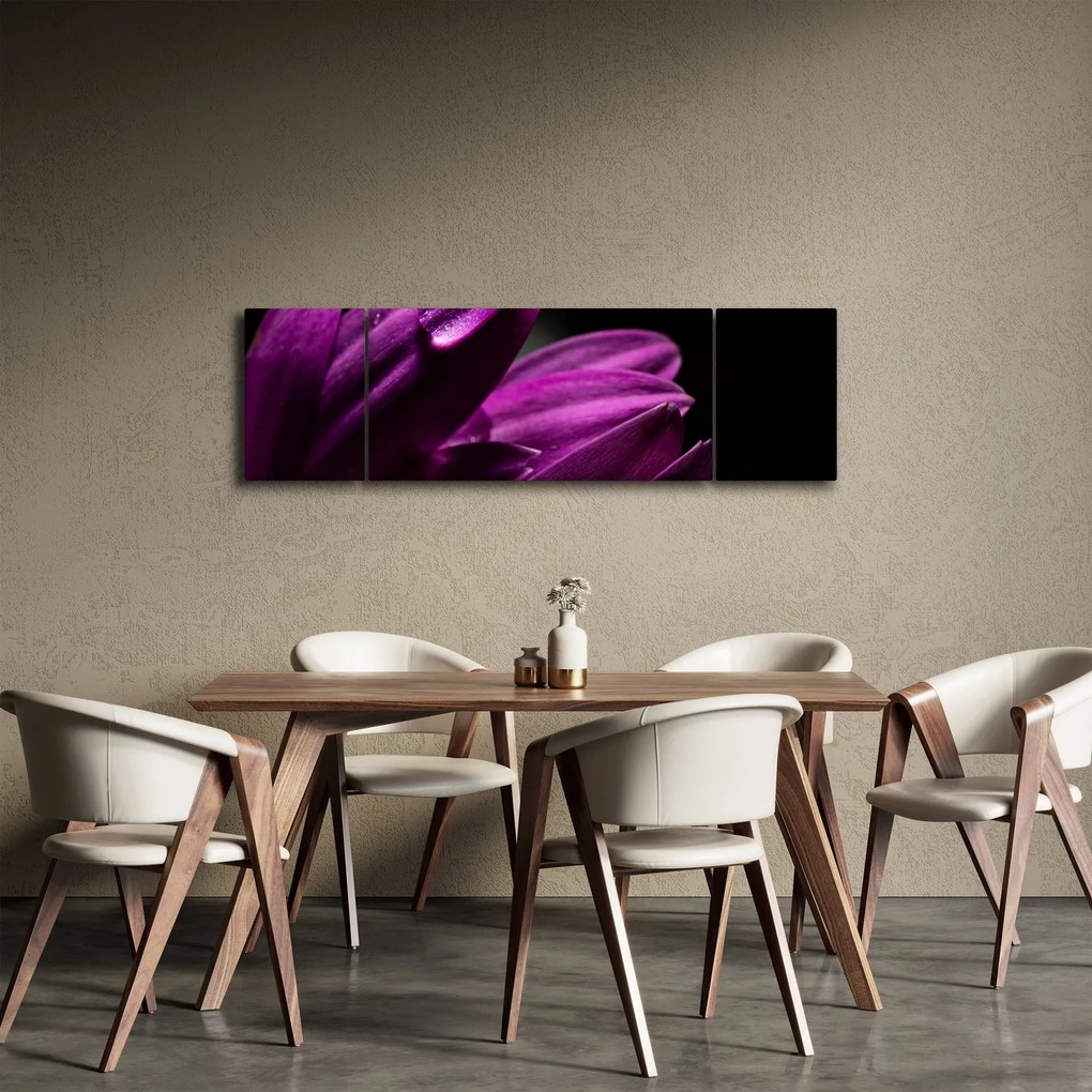 Obraz - Kropla wody (170x50 cm)