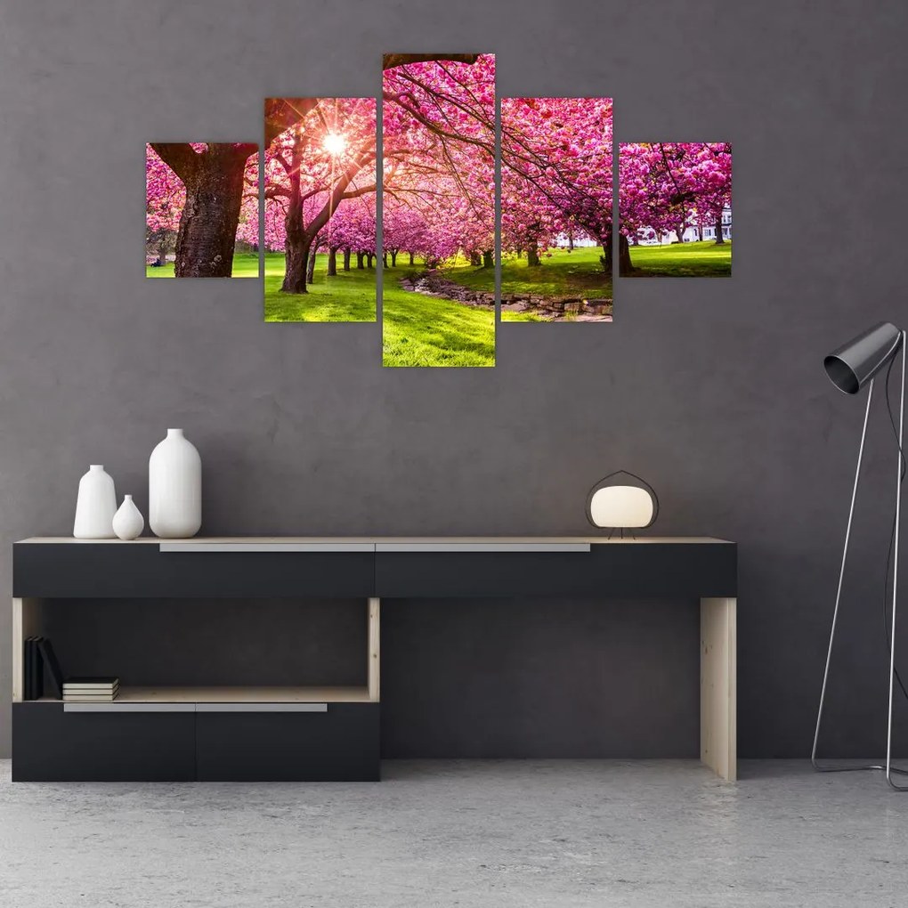 Obraz kwitnących czereśni, Hurd Park, Dover, New Jersey (125x70 cm)
