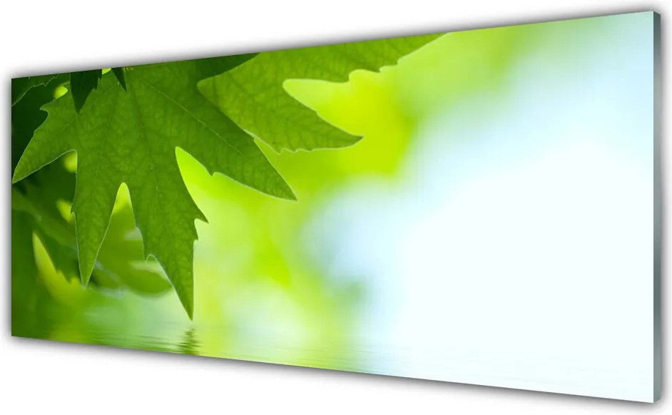 Szkło Dekoracyjne do Kuchni Soczyste Zielone Liście