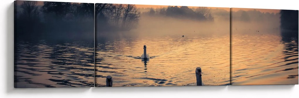 Obraz łabędzi na wodzie we mgle (170x50 cm)