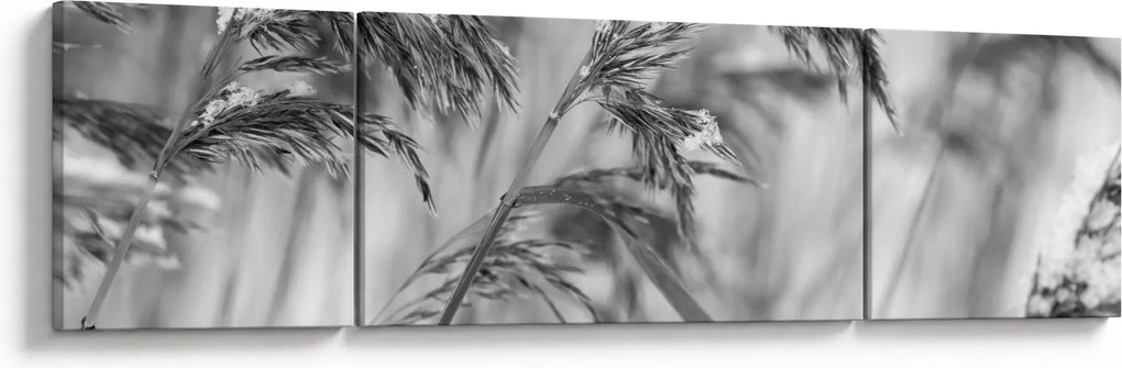 Obraz - Lipnice, czarno - biały (170x50 cm)