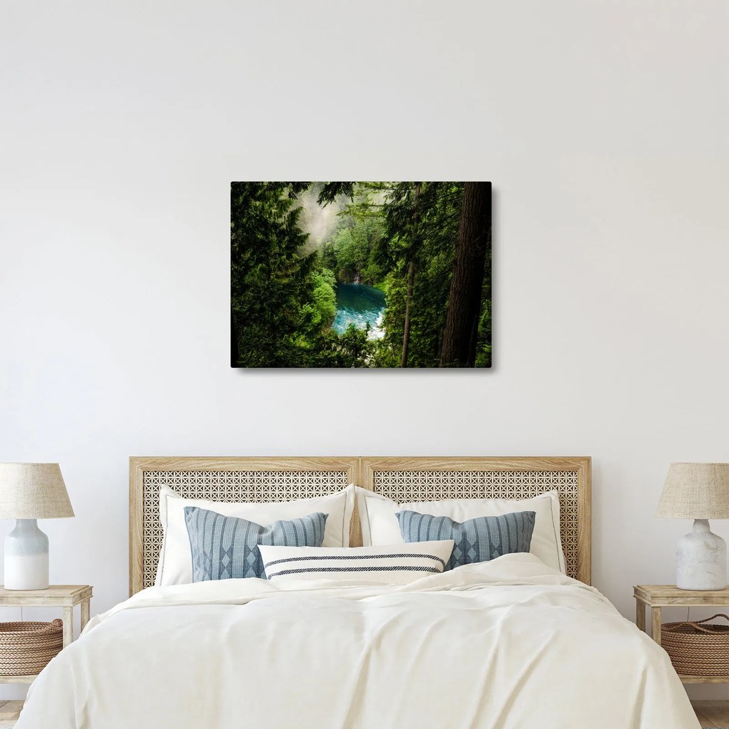Obraz - Przestrzeń między drzewami (70x50 cm)