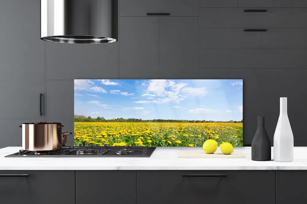 Panel Szklany do Kuchni Słoneczna Łąka Mniszków