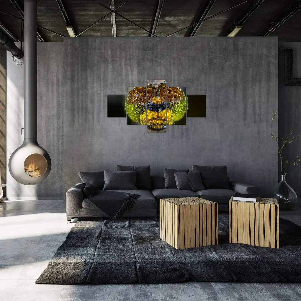Szczegółowy obraz oczu owadów (125x70 cm)