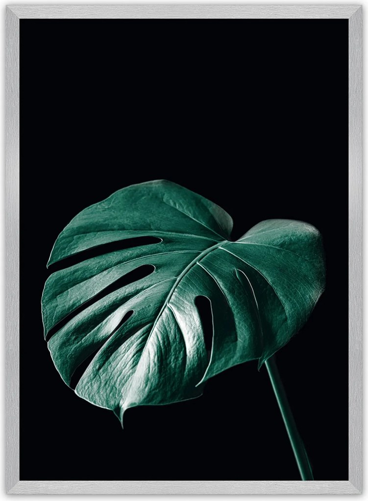 Plakat Dark Monstera