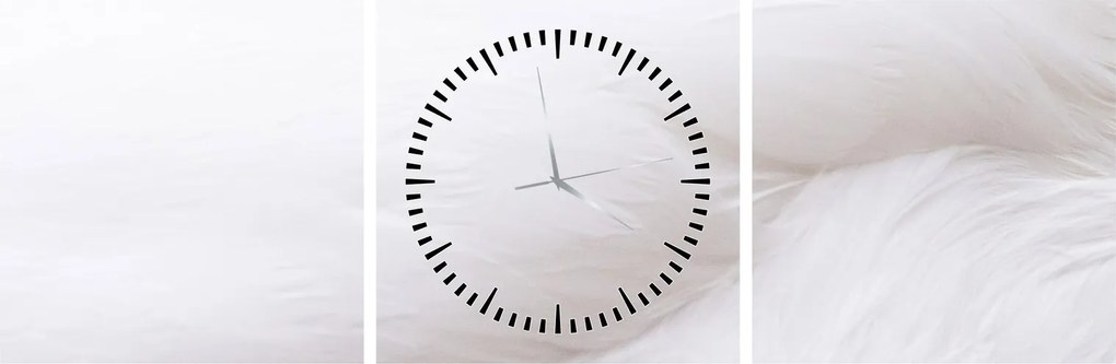 Obraz - Szczegół piórka (z zegarem) (90x30 cm)
