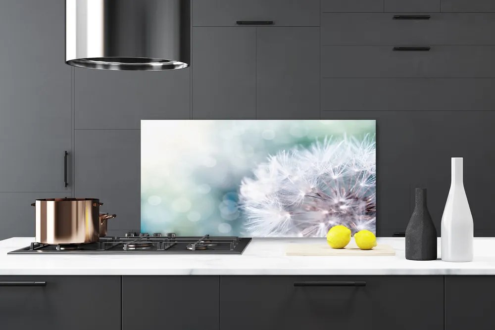 Szkło do Kuchni na Ścianę Puszysty Mniszek Lekarski