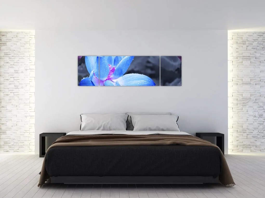 Obraz szczegółu kwiatu (170x50 cm)