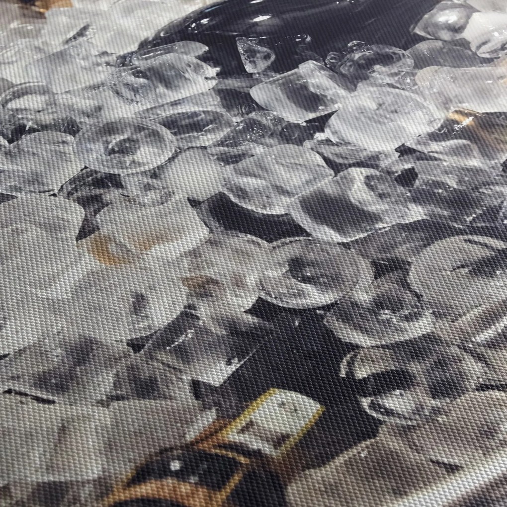 Obraz - szampan w lodzie (170x50 cm)