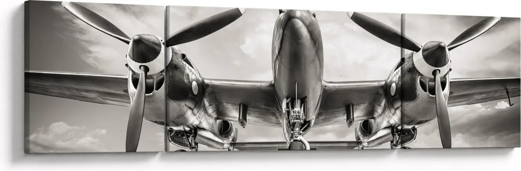 Obraz - Warbird (170x50 cm)