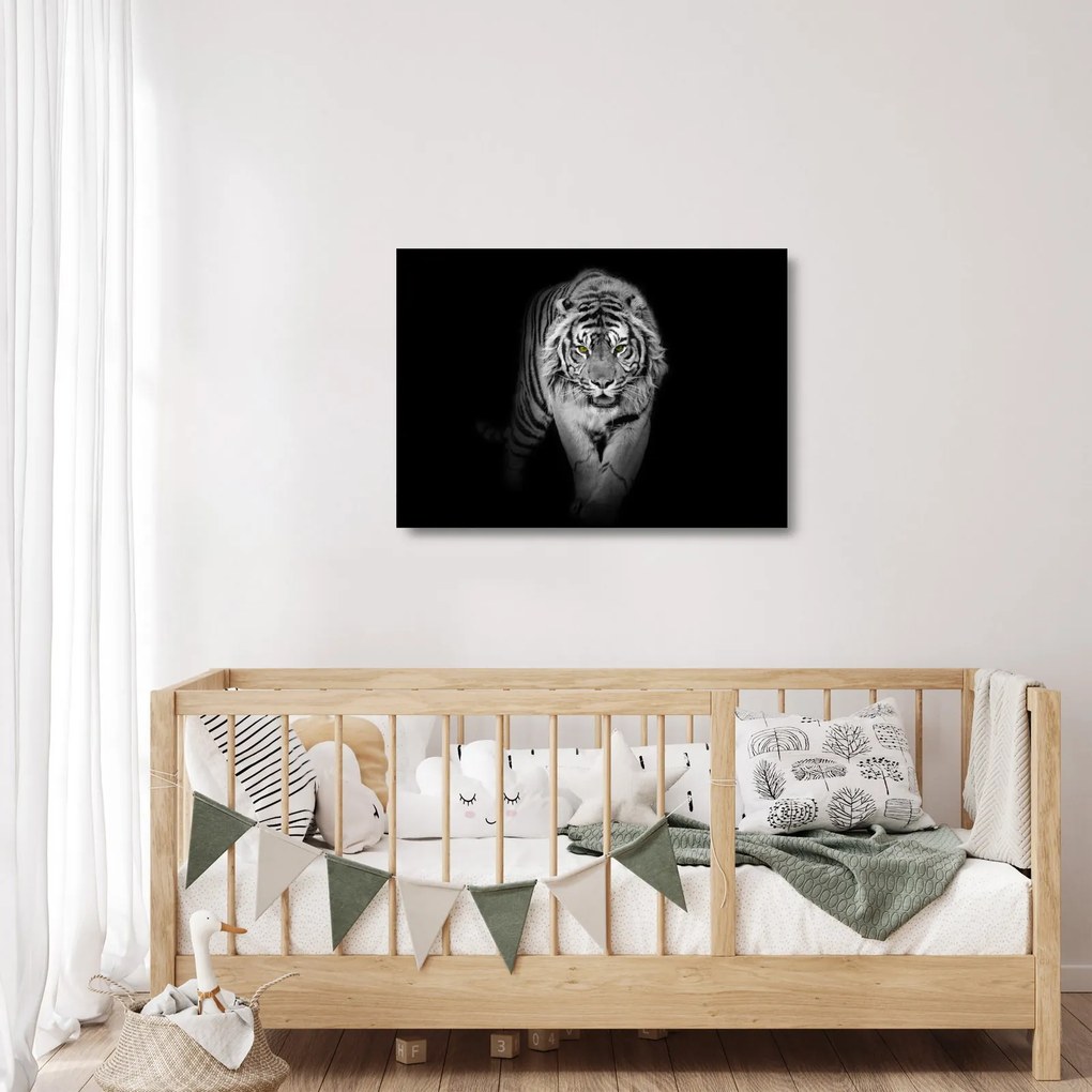 Obraz na szkle - Tygrys z żółtymi oczami (70x50 cm)