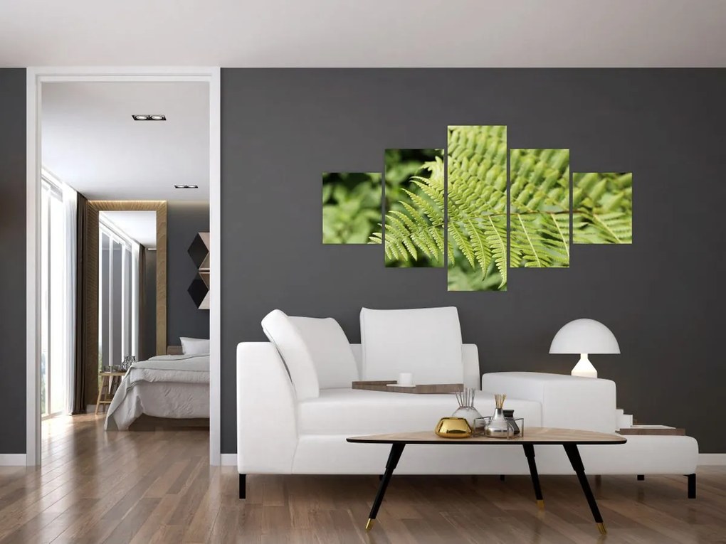 Obraz - Liść paproci (125x70 cm)