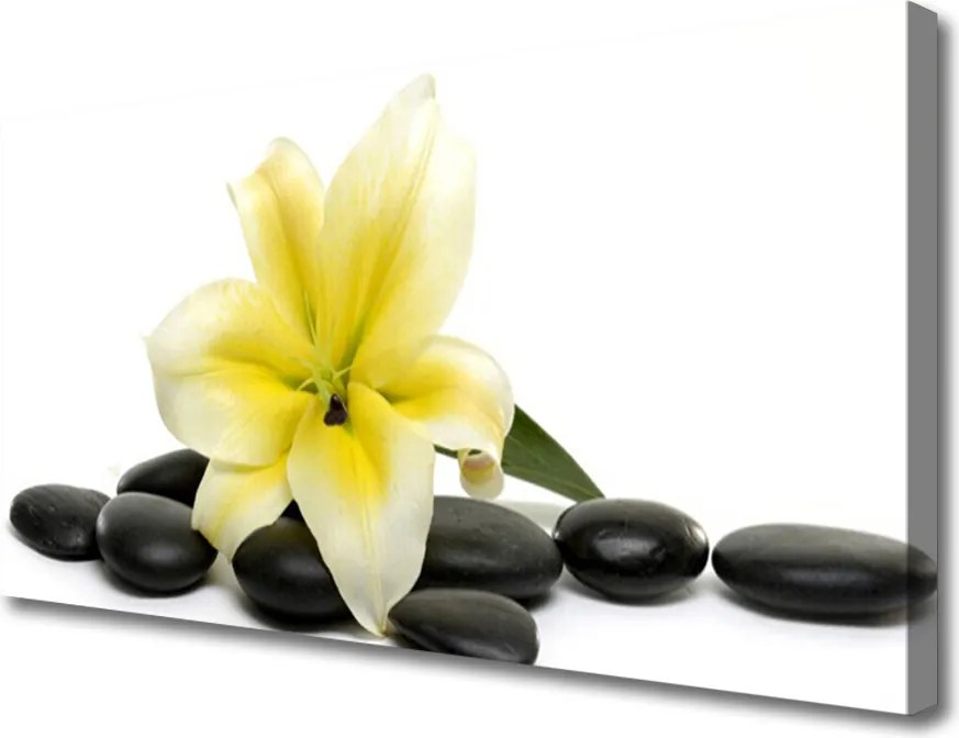 Obraz na płótnie Minimalistyczna Forma Zen