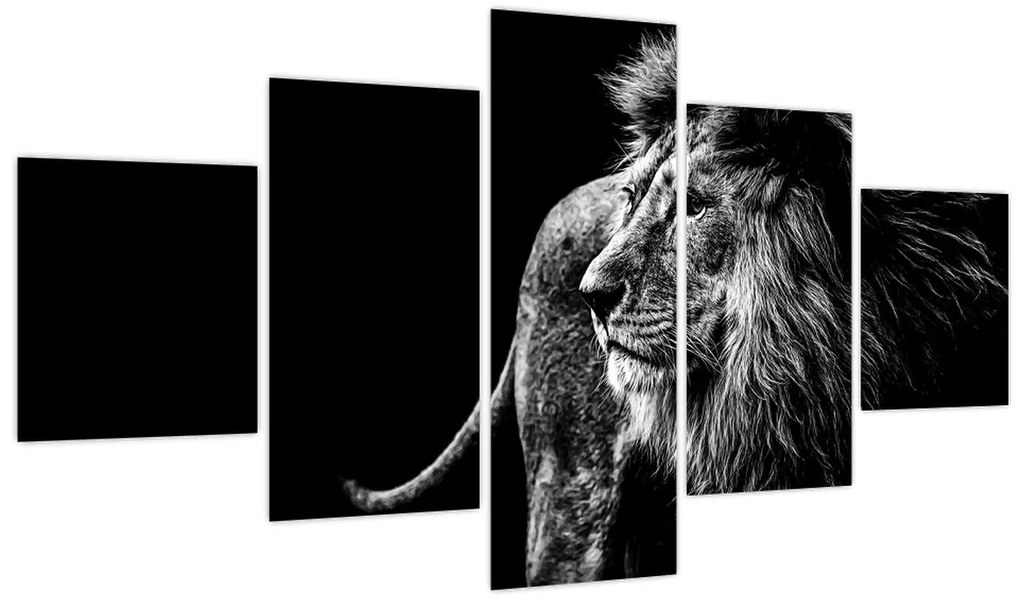 Obraz - Lew (125x70 cm)
