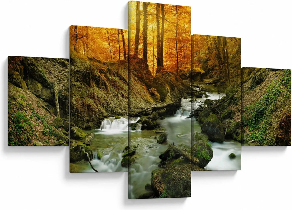 Obraz - Las (125x70 cm)