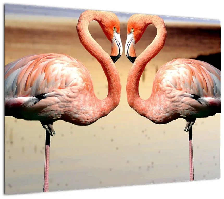 Obraz - dwa flamingi (70x50 cm)