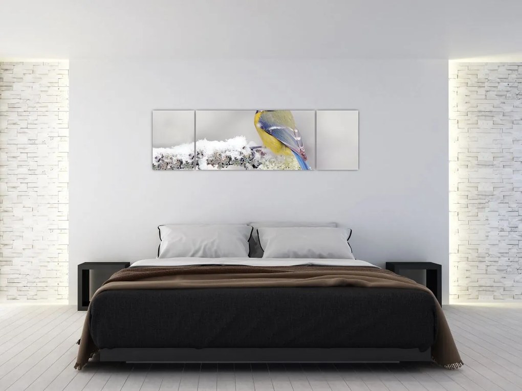 Obraz - Sikora modraszka w lesie (170x50 cm)