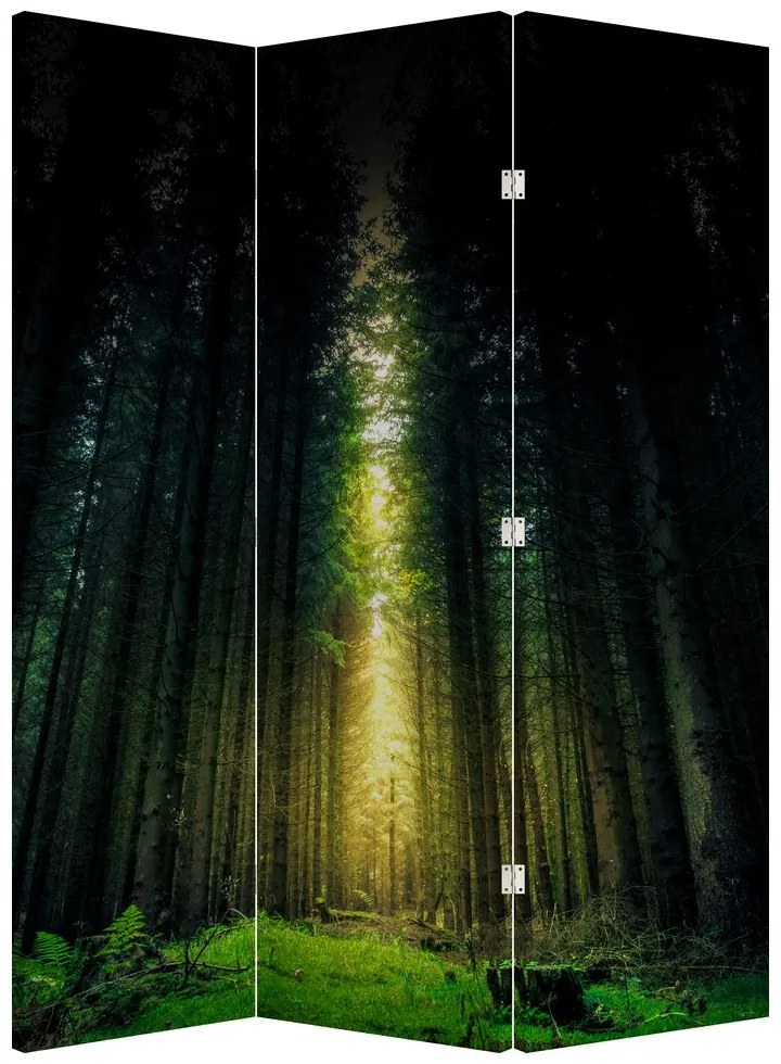 Parawan - Ciemny Las (126x170 cm)